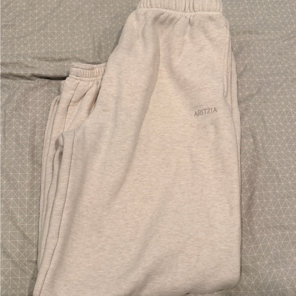 Aritzia Mega Fleece Cozy Sweatpants